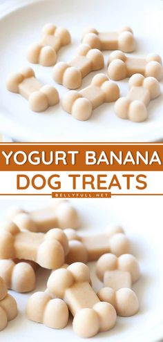 Yogurt Banana Dog Treats Recipe How To Store Frozen Dog Treats, Diy Grain Free Dog Treats, Food To Take On Hunting Trip, Easy Homemade Puppy Treats, How To Make Homemade Dog Treats Easy, Make Your Own Puppy Treats, Frozen Treats For Dogs Recipe, Easy Frozen Dog Treat Recipes