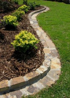 a stone path in the middle of a lawn with yellow flowers on it and green grass