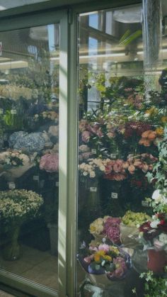 a flower shop filled with lots of different types of flowers