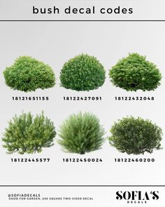 bush deal code for different types of bushes