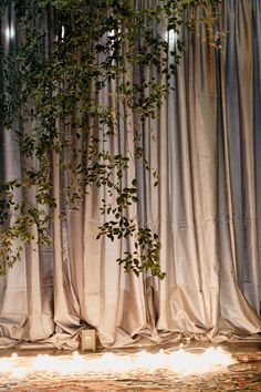 the curtain is open and there are lights in front of it with plants growing on them