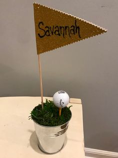 a golf ball sitting on top of a potted plant next to a sign that says savannah