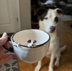 a dog sitting on the floor next to a person holding a bowl with food in it