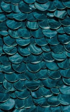 a close up view of the scales of a fish's tail, with blue hues