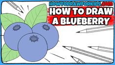 how to draw a blueberry with colored pencils and crayons on the background