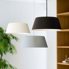 three lamps hanging from the ceiling in a room with bookshelves and plants behind them