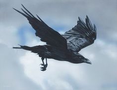 a large bird flying through the air with its wings spread out and it's beak extended