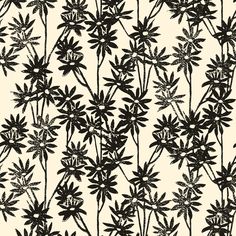 black and white flowers on a cream background