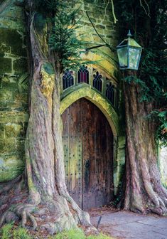 a painting of a tree with a light on it's door and two large trees in front of it