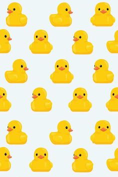 many yellow rubber ducks on a light blue background