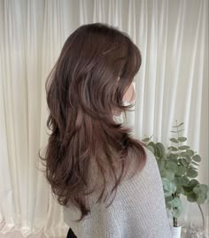 Long Wolf Cut No Bangs, Hush Cut Vs Wolf Cut, Medium Length Hush Cut, Layered Hair Cuts With Bangs, Haircut For Small Face, Long Wavy Haircuts With Layers, V Cut Hair With Layers Medium, Korean Layered Haircut, Long Hair Problems