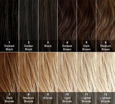 Hair Level Chart, Levels Of Hair Color, Blonde Hair Color Chart, Hair Chart, Honey Blonde Hair Color, Lighter Hair