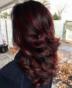 Red Hair Color With Black, Dark Burgundy Hair, Wine Hair Color, Burgundy Highlights, Honey Blond, Wine Hair, Hair Color Burgundy, Dark Red Hair, Black Hair With Highlights