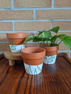 three potted plants sitting on top of a wooden table