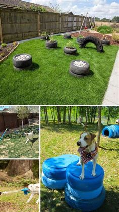 the dog is standing on top of an inflatable pool and playing with his toys