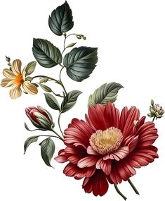 an illustration of flowers with leaves and buds on a white background, including one large red flower