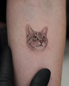 a cat's face is shown on the leg