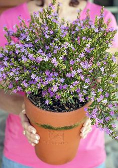 a woman holding a potted plant with purple flowers