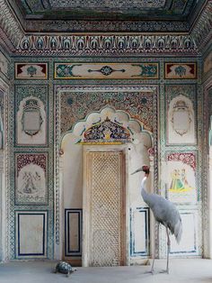 a large bird standing next to a doorway in a room with ornate designs on the walls