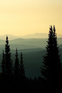 silhouettes of trees and mountains in the distance