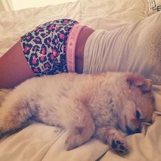 a woman laying on top of a bed next to a dog