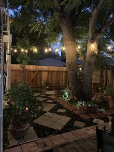 an outdoor patio with lights strung from the trees and potted plants on the ground