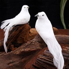 two white birds sitting on top of a wooden log