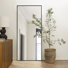 a potted plant sitting on top of a wooden floor next to a large mirror