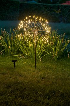 a lighted umbrella sitting on top of a lush green field