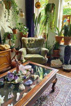 a living room filled with lots of plants and furniture