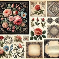 an assortment of flowers and frames on a white background with black border around the edges