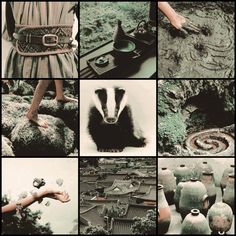 a collage of different pictures with animals and people in the middle one has a badger on it's head