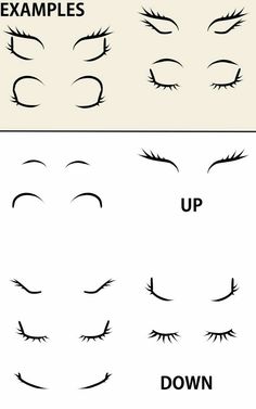 the different types of eyelashes and how to draw them