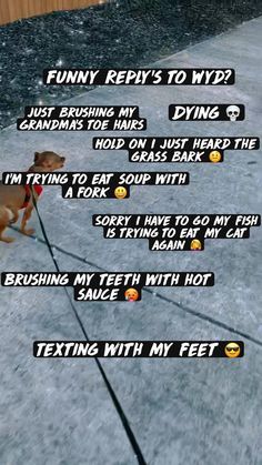 a dog on a leash with the words funny repris to nyp? and an emoticive message