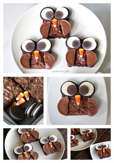 chocolate owl treats with candy eyes and candy candies