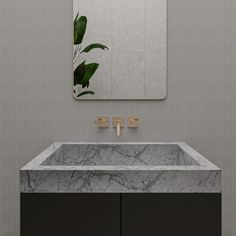 a bathroom sink sitting under a mirror next to a wall mounted faucet with a plant on it