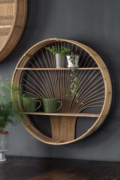 a shelf with plants and cups on it