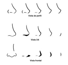 the different types of nose shapes and how they are used to make them look like noses