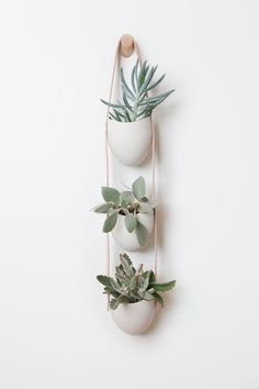 three hanging planters with succulents in them on a white wall,