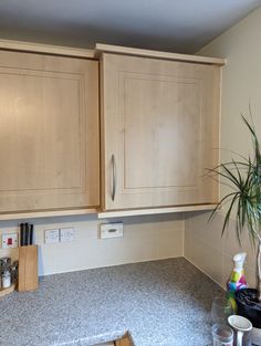 a kitchen with wooden cabinets and granite counter tops on the island in front of a potted plant