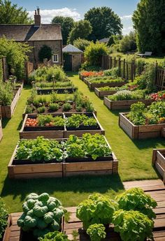 #BEAUTY ,#REALATIONSHIPS #Fashion #Outfits #SUMMER Outfits #Animals Cottage Garden Vegetable, Gardening Space Ideas, Vegetable And Flower Garden Ideas, Cozy Vegetable Garden, Cozy Cottage Backyard, Vegetable Gardens Ideas Backyard, Outdoor Cottage Ideas, Backyard Inspo Gardens, Garden Inspo Backyards