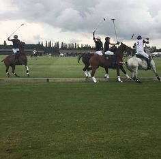 four polo players on horses are playing polo