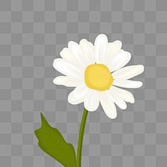 a white flower with green leaves on a gray background png clipart free for personal use