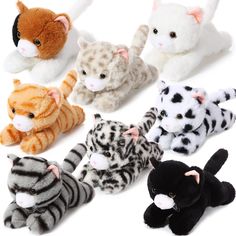 small stuffed animals are lined up together on a white surface with one cat in the middle