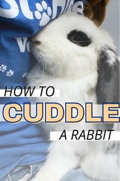 a white and black rabbit with the words how to cuddle a rabbit on it's back