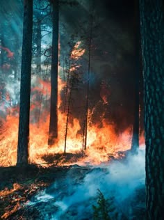 Burning Forest, Wildland Firefighter, Fire Image, Fire Photography, Forest Fire, Character Aesthetics, Aesthetic Backgrounds, The Fire