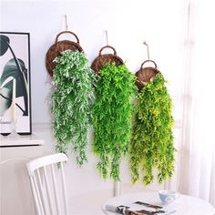 three hanging plants on the wall above a table