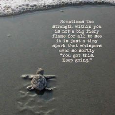 a sea turtle on the sand with a quote written in it