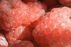 closeup of raspberries with water droplets on them