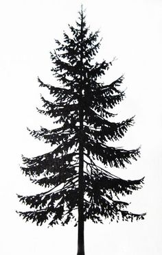 a black and white photo of a tall pine tree with snow on it's ground